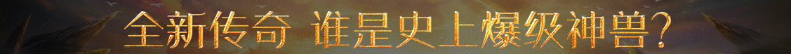 期权投资站